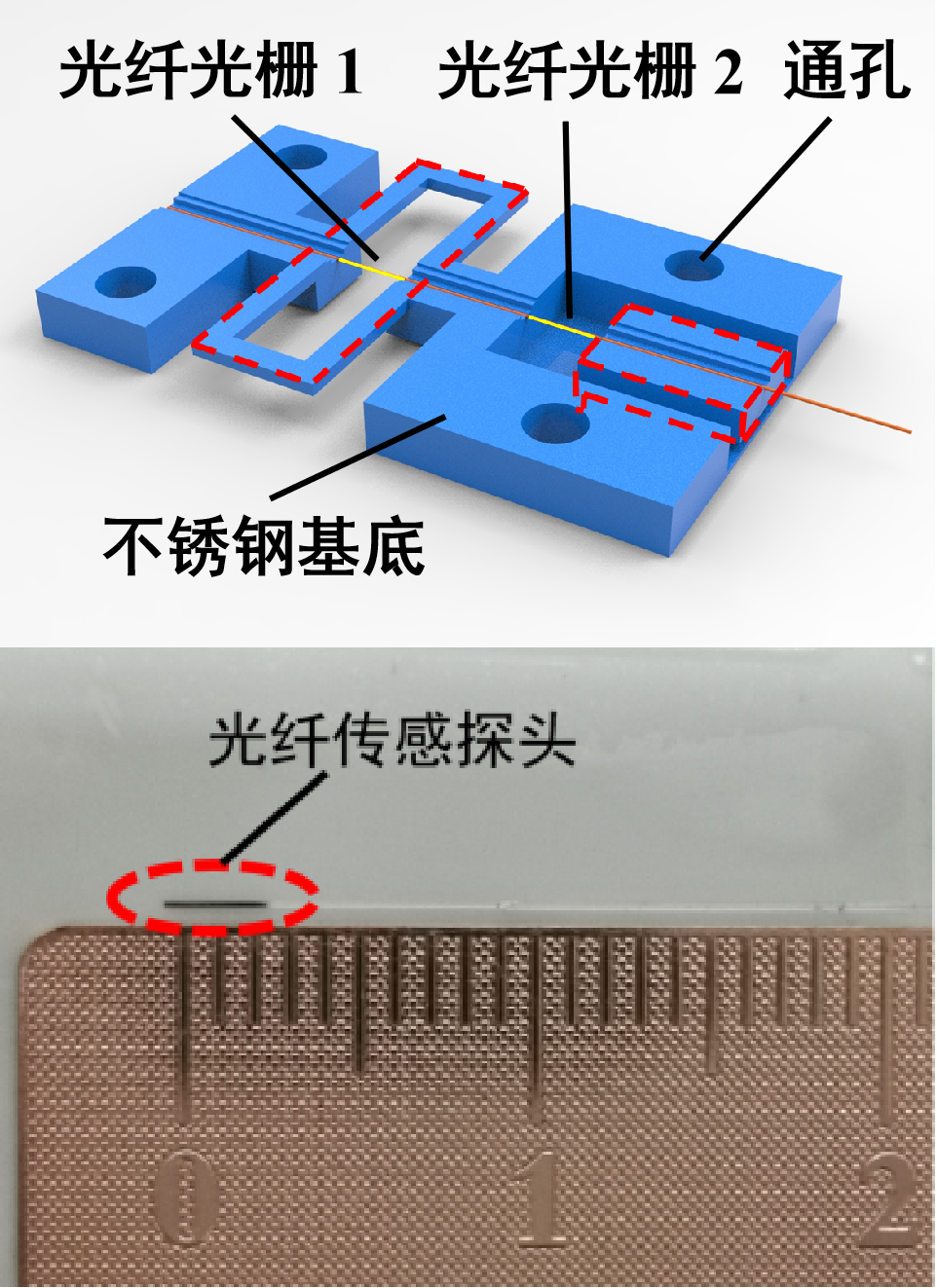 基底.png 基底.png