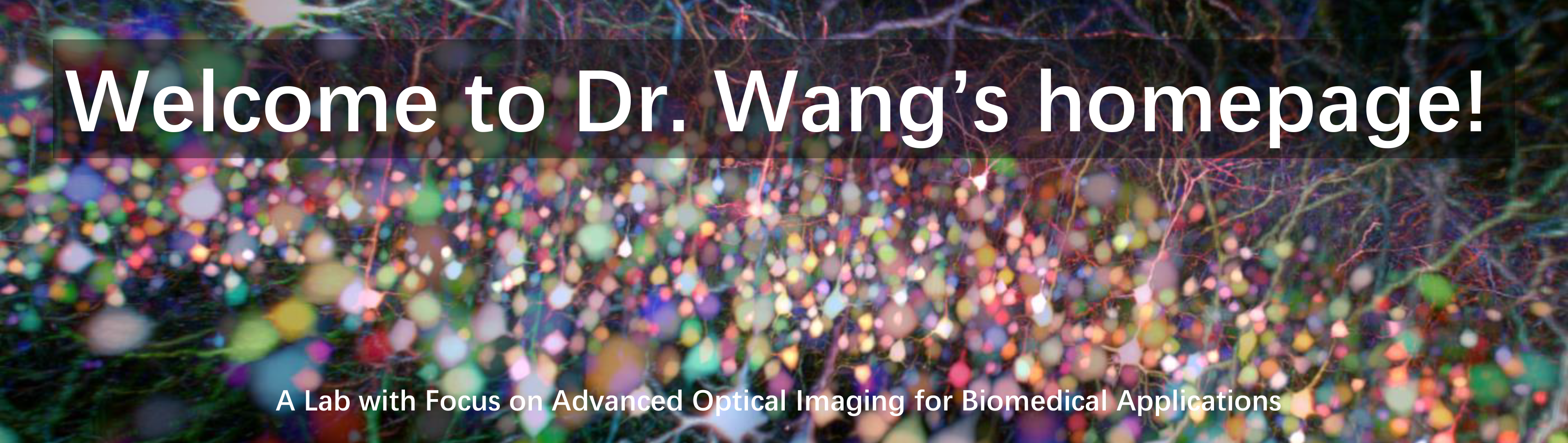 homepage big image.png