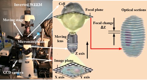 机器人辅助宽场荧光显微镜系统.jpg 机器人辅助宽场荧光显微镜系统.jpg