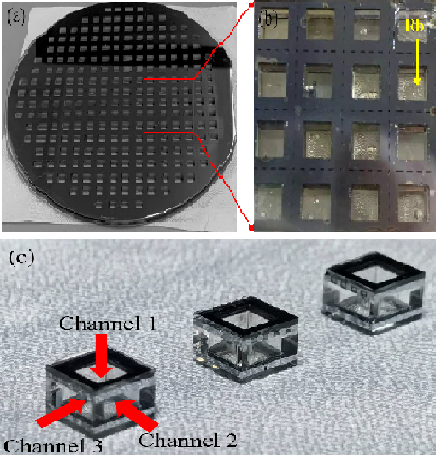 量子2 (1).png 量子2 (1).png