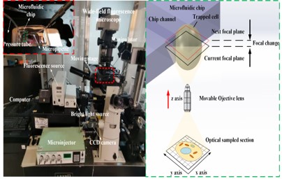 机器人微纳操控系统.jpg 机器人微纳操控系统.jpg
