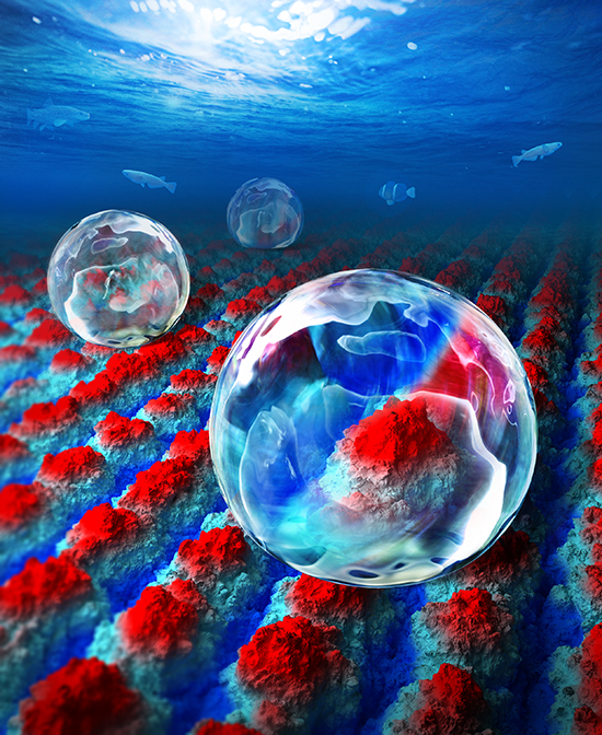 Femtosecond-Laser-Produced Underwater Superpolymphobic Surfaces that Repels Liquid Polymers in Water - Advances in Engineering Femtosecond-Laser-Produced Underwater Superpolymphobic Surfaces that Repels Liquid Polymers in Water - Advances in Engineering